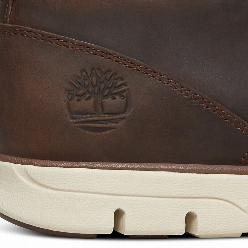 Timberland Bradstreet Chukka Čizme Smeđe | 38579563