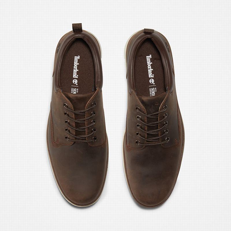 Timberland Bradstreet Koža Oxfordice Smeđe | 1593156
