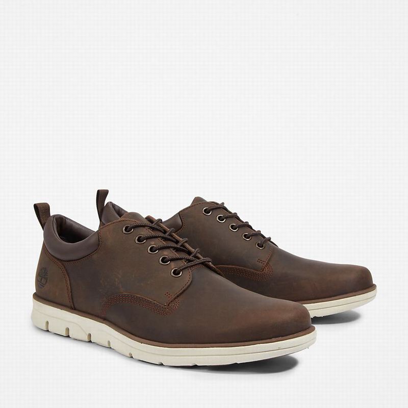 Timberland Bradstreet Koža Oxfordice Smeđe | 1593156