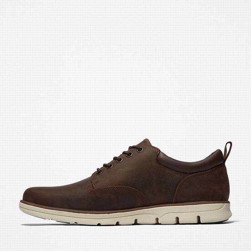 Timberland Bradstreet Koža Oxfordice Smeđe | 1593156