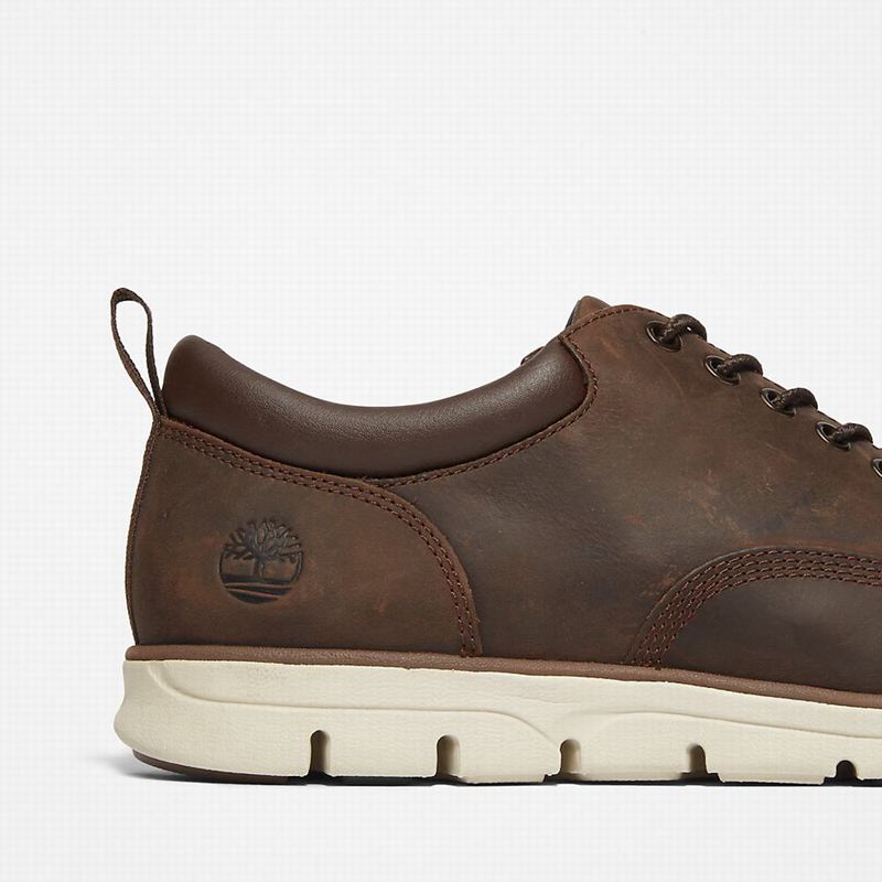 Timberland Bradstreet Koža Oxfordice Smeđe | 1593156