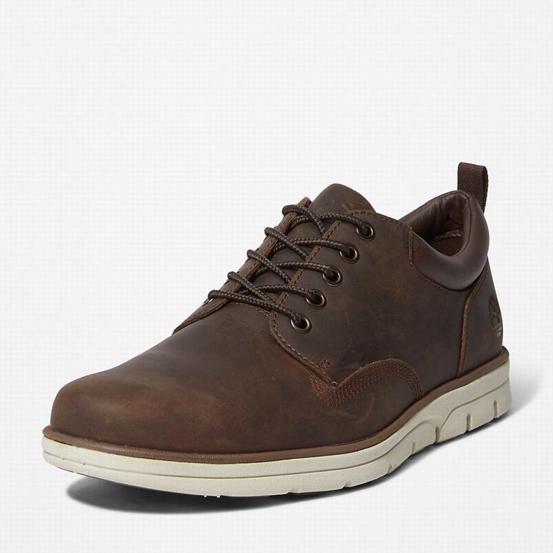 Timberland Bradstreet Koža Oxfordice Smeđe | 1593156