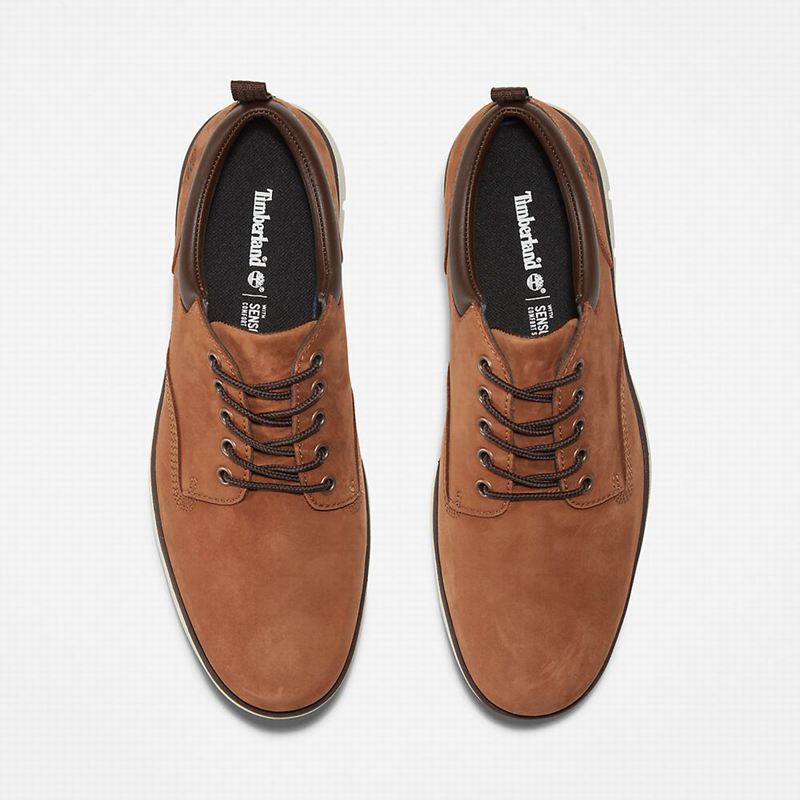Timberland Bradstreet Koža Oxfordice Smeđe | 27089290