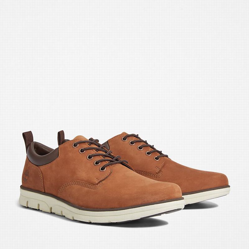 Timberland Bradstreet Koža Oxfordice Smeđe | 27089290