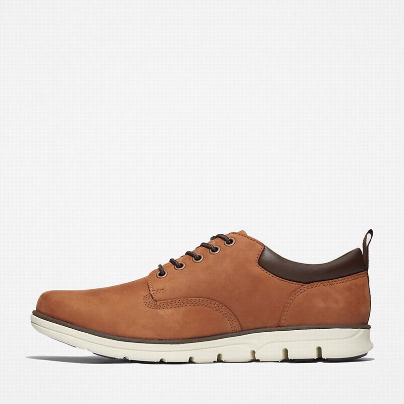 Timberland Bradstreet Koža Oxfordice Smeđe | 27089290