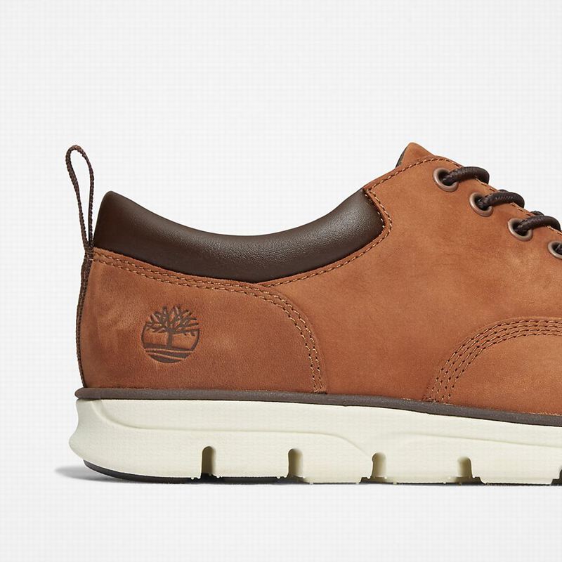 Timberland Bradstreet Koža Oxfordice Smeđe | 27089290