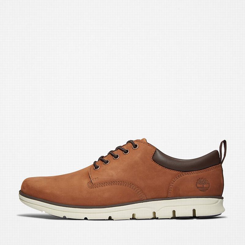 Timberland Bradstreet Koža Oxfordice Smeđe | 27089290