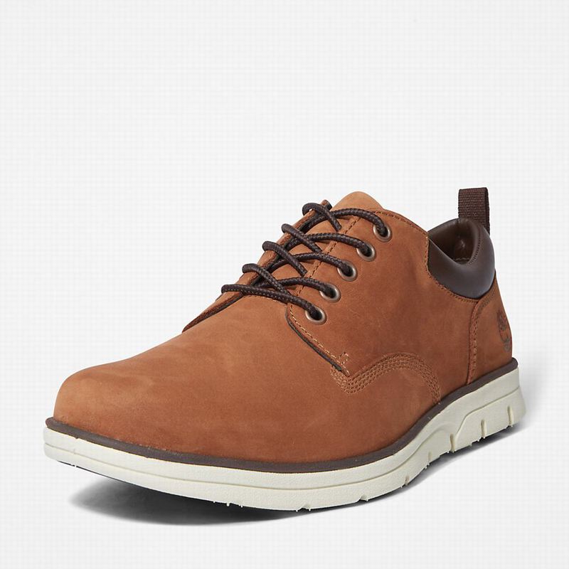 Timberland Bradstreet Koža Oxfordice Smeđe | 27089290