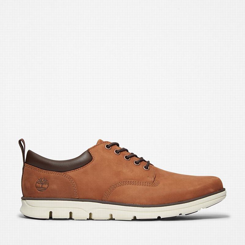 Timberland Bradstreet Koža Oxfordice Smeđe | 27089290