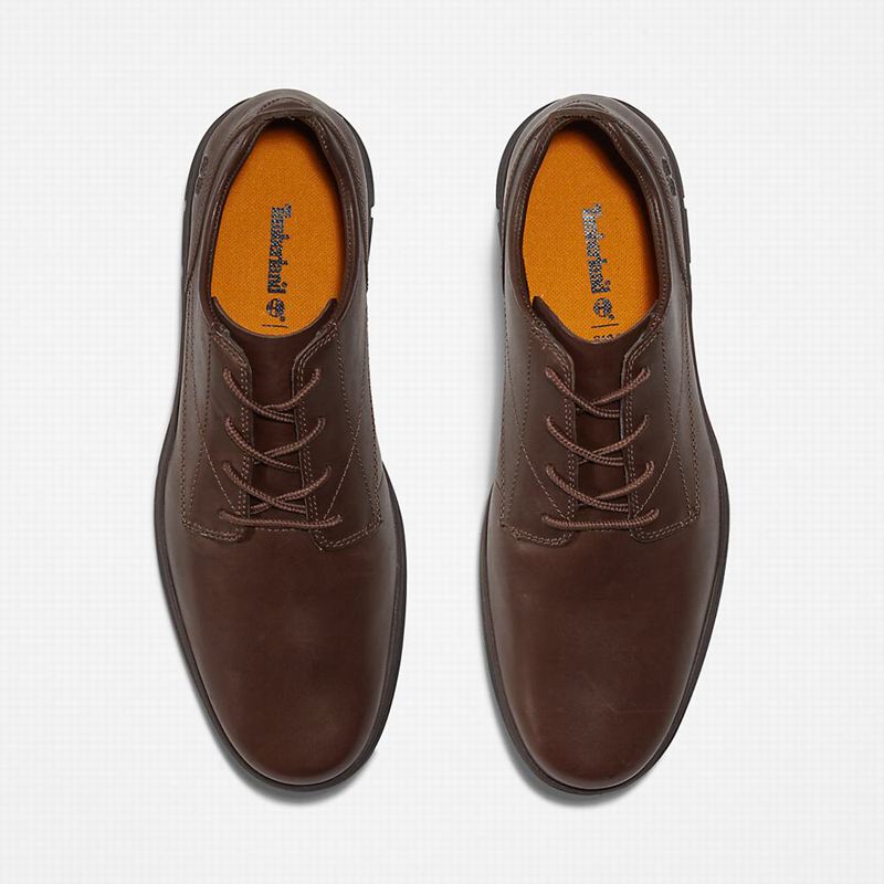 Timberland Bradstreet Plain Toe Oxfordice Smeđe | 29318057