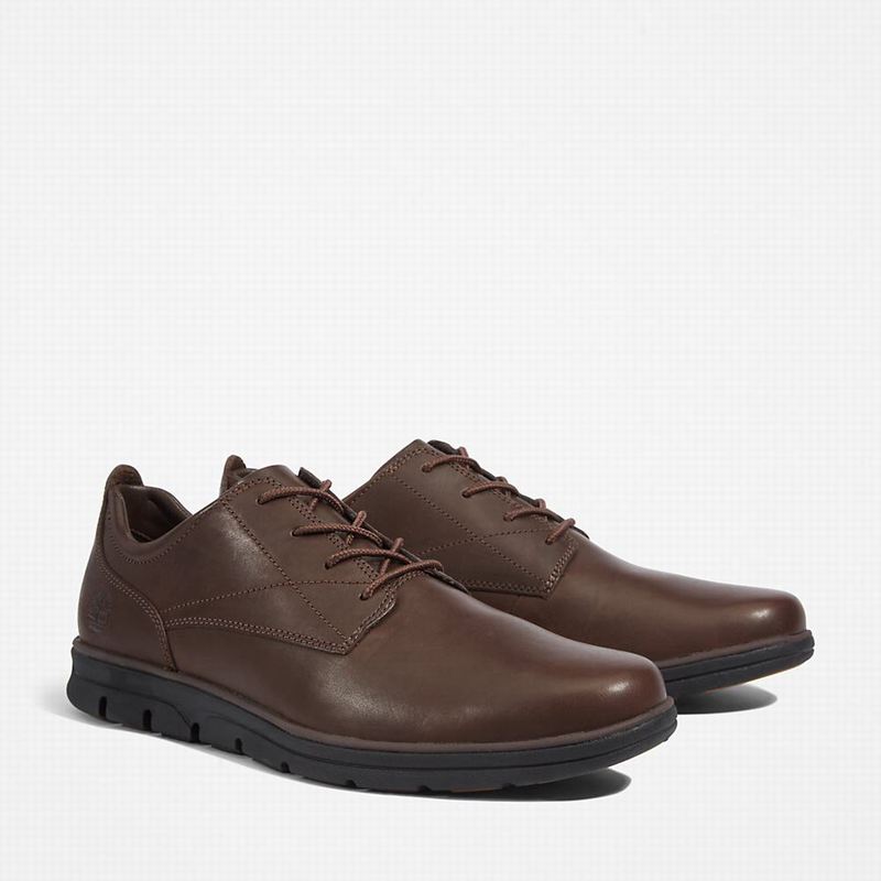 Timberland Bradstreet Plain Toe Oxfordice Smeđe | 29318057