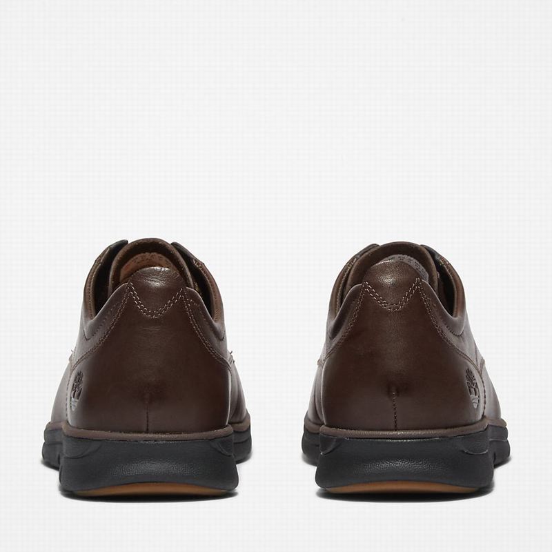 Timberland Bradstreet Plain Toe Oxfordice Smeđe | 29318057