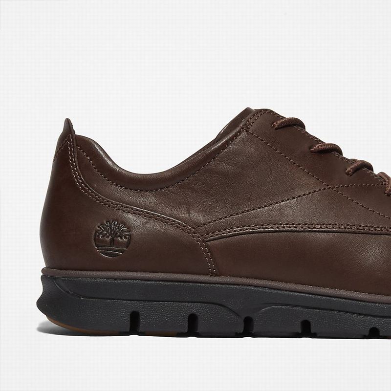 Timberland Bradstreet Plain Toe Oxfordice Smeđe | 29318057