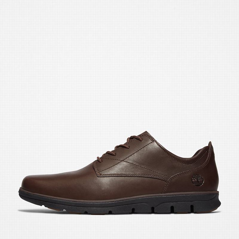 Timberland Bradstreet Plain Toe Oxfordice Smeđe | 29318057