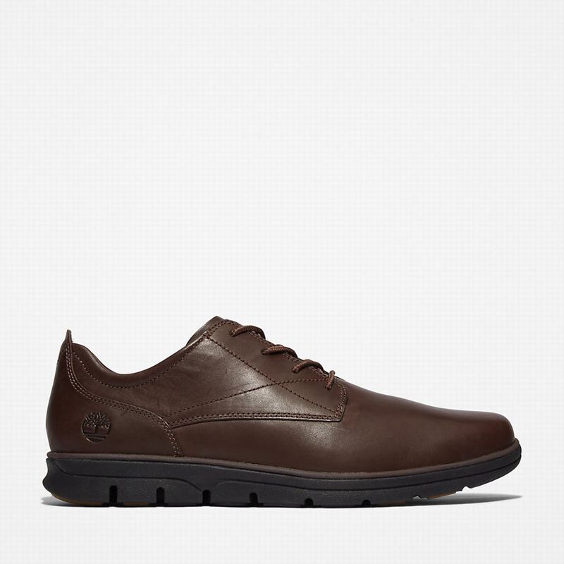 Timberland Bradstreet Plain Toe Oxfordice Smeđe | 29318057