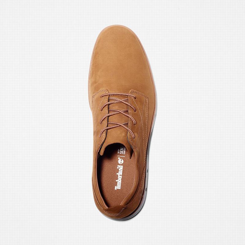 Timberland Bradstreet Tenisice Smeđe | 1509240