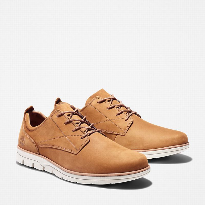 Timberland Bradstreet Tenisice Smeđe | 1509240