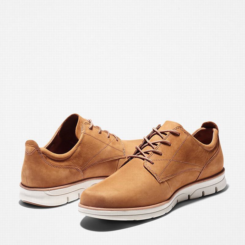 Timberland Bradstreet Tenisice Smeđe | 1509240