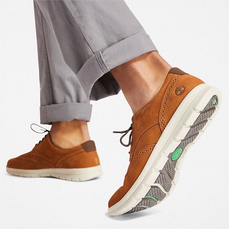 Timberland Bradstreet Tenisice Smeđe | 1509240