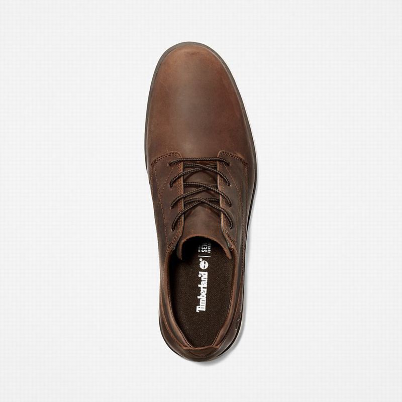 Timberland Bradstreet Tenisice Smeđe | 39699437