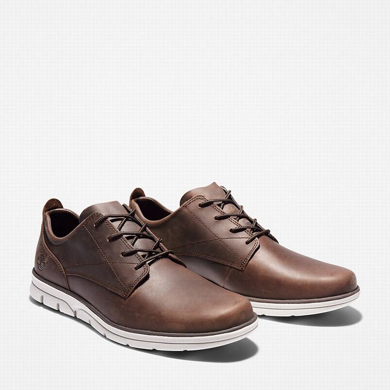 Timberland Bradstreet Tenisice Smeđe | 39699437