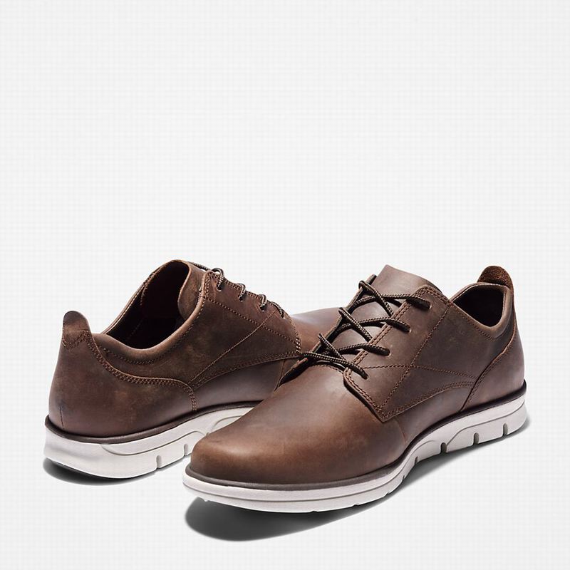 Timberland Bradstreet Tenisice Smeđe | 39699437