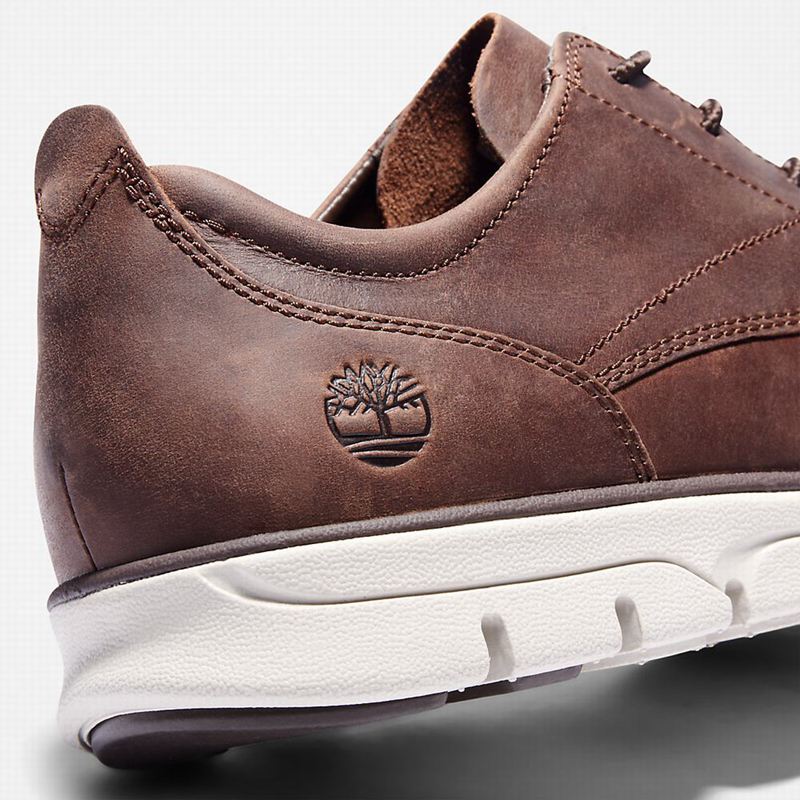 Timberland Bradstreet Tenisice Smeđe | 39699437