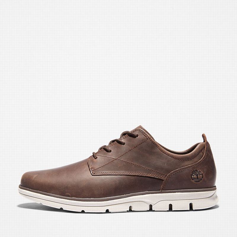 Timberland Bradstreet Tenisice Smeđe | 39699437