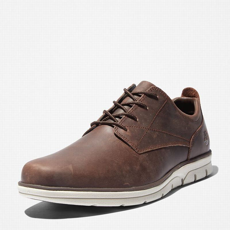 Timberland Bradstreet Tenisice Smeđe | 39699437