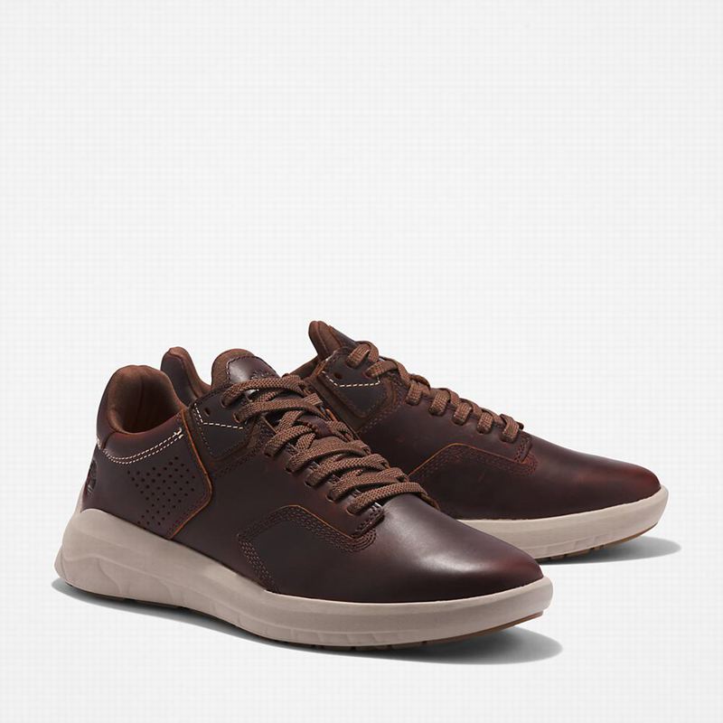 Timberland Bradstreet Ultra EK+ Tenisice Smeđe | 43791525