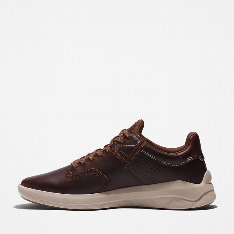 Timberland Bradstreet Ultra EK+ Tenisice Smeđe | 43791525