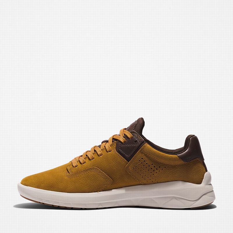 Timberland Bradstreet Ultra EK+ Tenisice Smeđe | 6179507