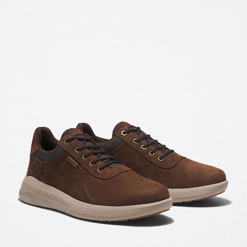 Timberland Bradstreet Ultra Gore-Tex Tenisice Smeđe | 30398659