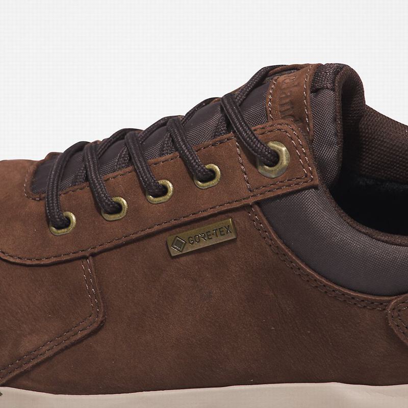 Timberland Bradstreet Ultra Gore-Tex Tenisice Smeđe | 30398659