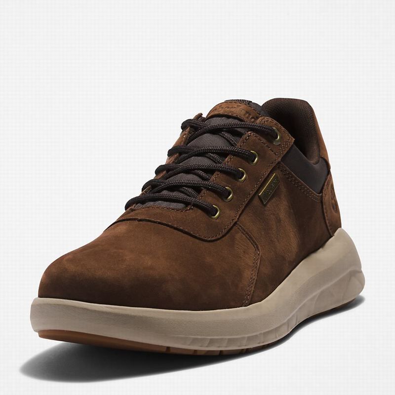 Timberland Bradstreet Ultra Gore-Tex Tenisice Smeđe | 30398659