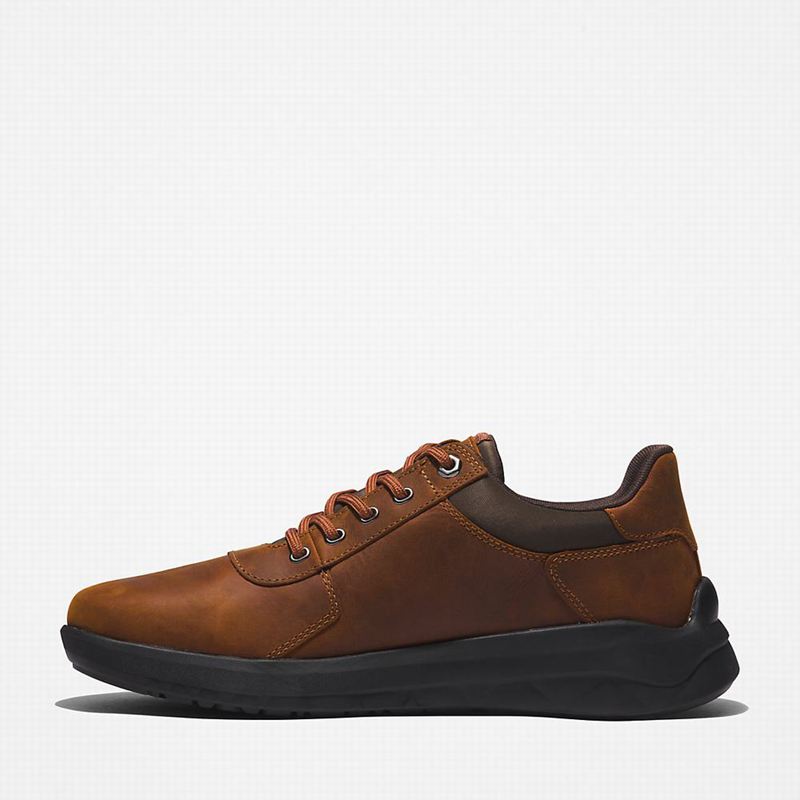 Timberland Bradstreet Ultra Gore-Tex Tenisice Smeđe | 74167366