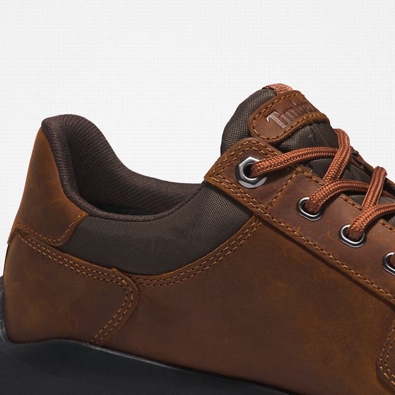 Timberland Bradstreet Ultra Gore-Tex Tenisice Smeđe | 74167366