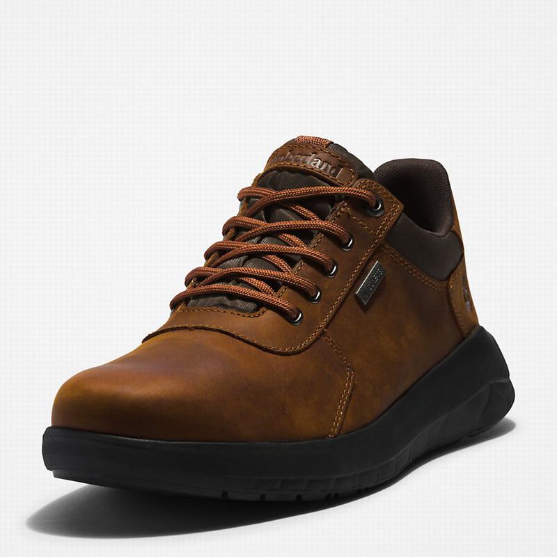 Timberland Bradstreet Ultra Gore-Tex Tenisice Smeđe | 74167366