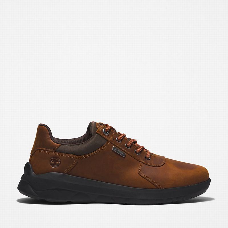 Timberland Bradstreet Ultra Gore-Tex Tenisice Smeđe | 74167366