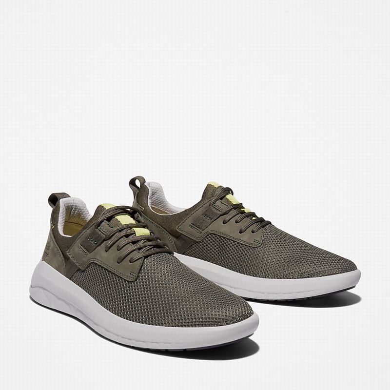 Timberland Bradstreet Ultra Knit Tenisice Maslinasto Zelene | 88804553