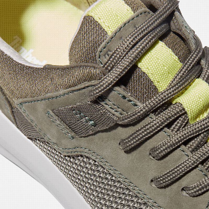 Timberland Bradstreet Ultra Knit Tenisice Maslinasto Zelene | 88804553