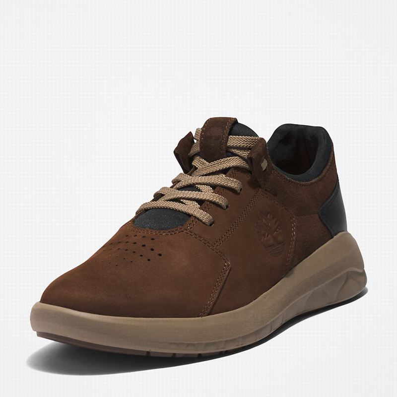 Timberland Bradstreet Ultra Koža Tenisice Smeđe | 24893659