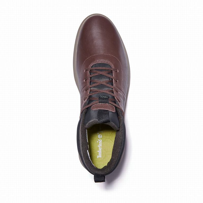 Timberland Bradstreet Ultra Winter Chukka Čizme Smeđe | 11516045