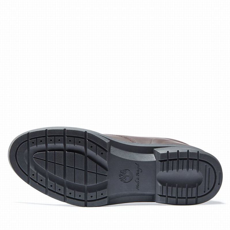 Timberland CC Boulevard Chukka Čizme Smeđe | 19388464