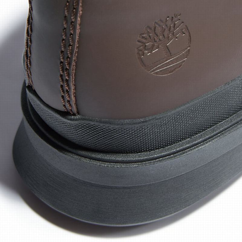Timberland CC Boulevard Chukka Čizme Smeđe | 19388464