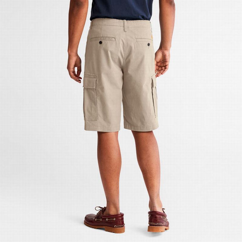 Timberland Cargo Kratke Hlače Bež | 45300963