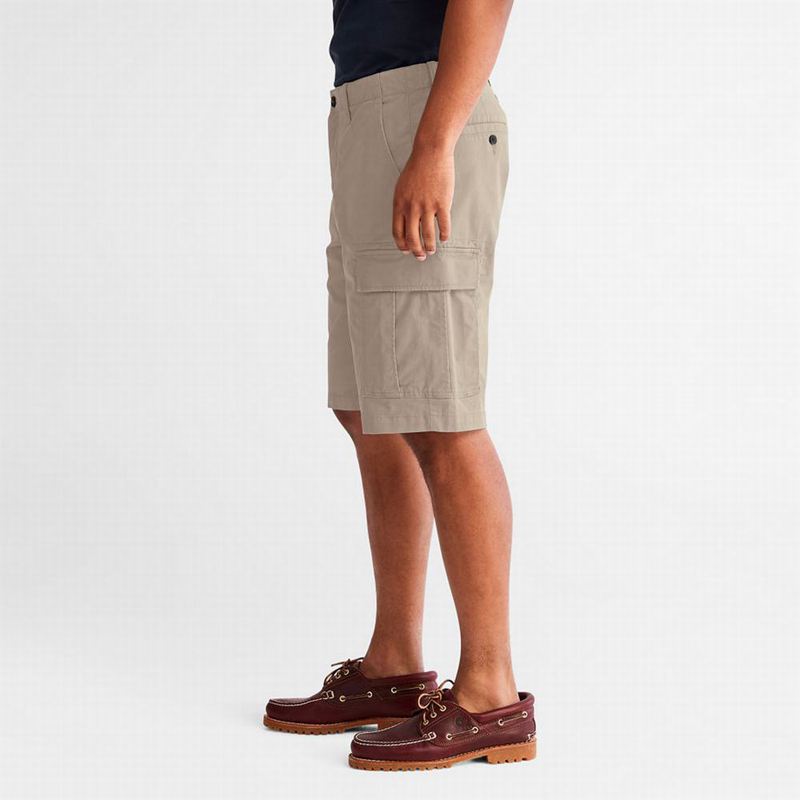 Timberland Cargo Kratke Hlače Bež | 45300963
