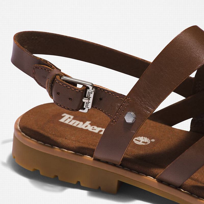 Timberland Chicago Riverside Backstrap Sandale Smeđe | 42280154