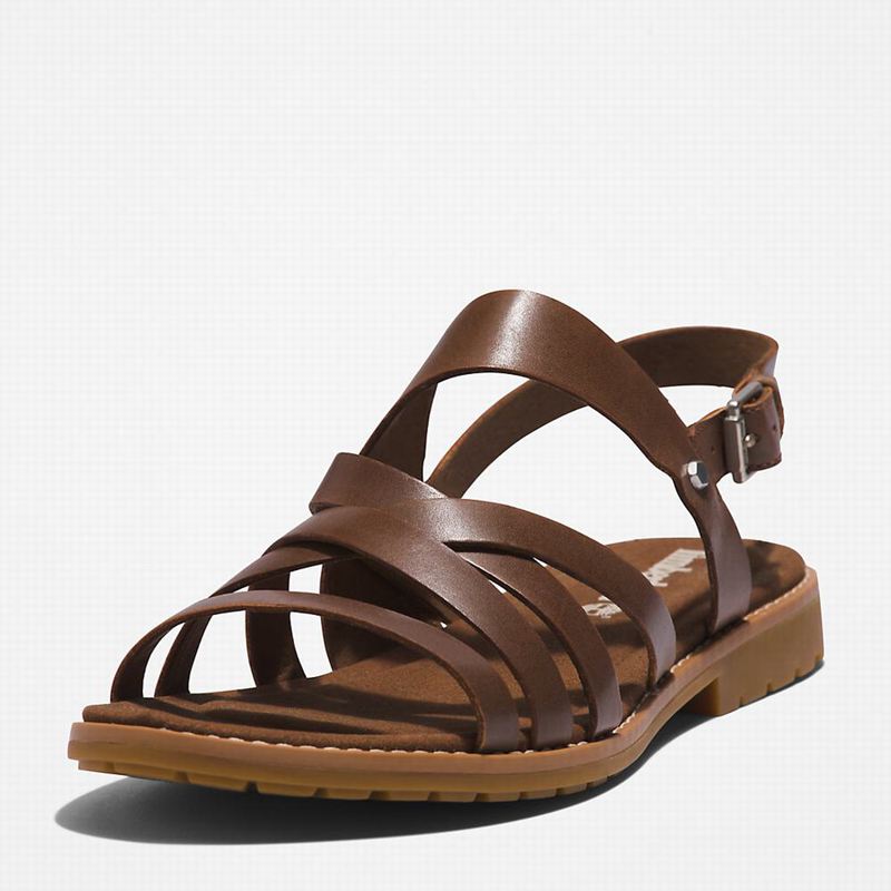 Timberland Chicago Riverside Backstrap Sandale Smeđe | 42280154
