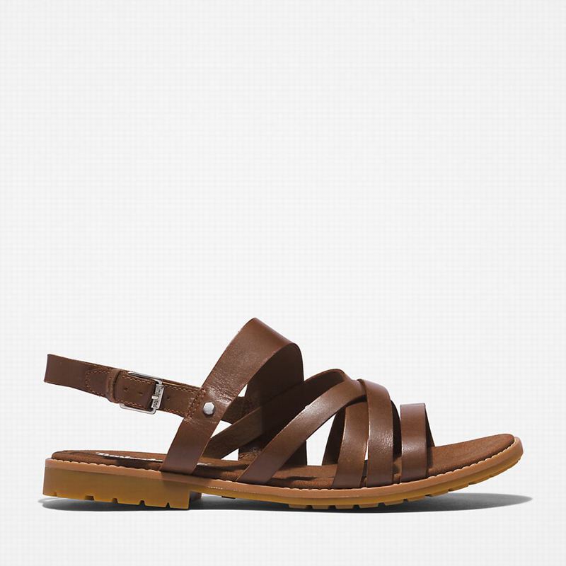 Timberland Chicago Riverside Backstrap Sandale Smeđe | 42280154